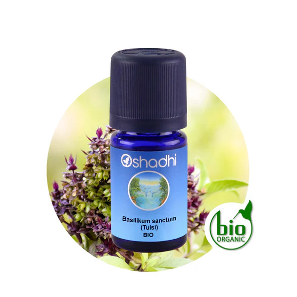 Basilikum sanctum (Tulsi) bio - Ätherisches Öl