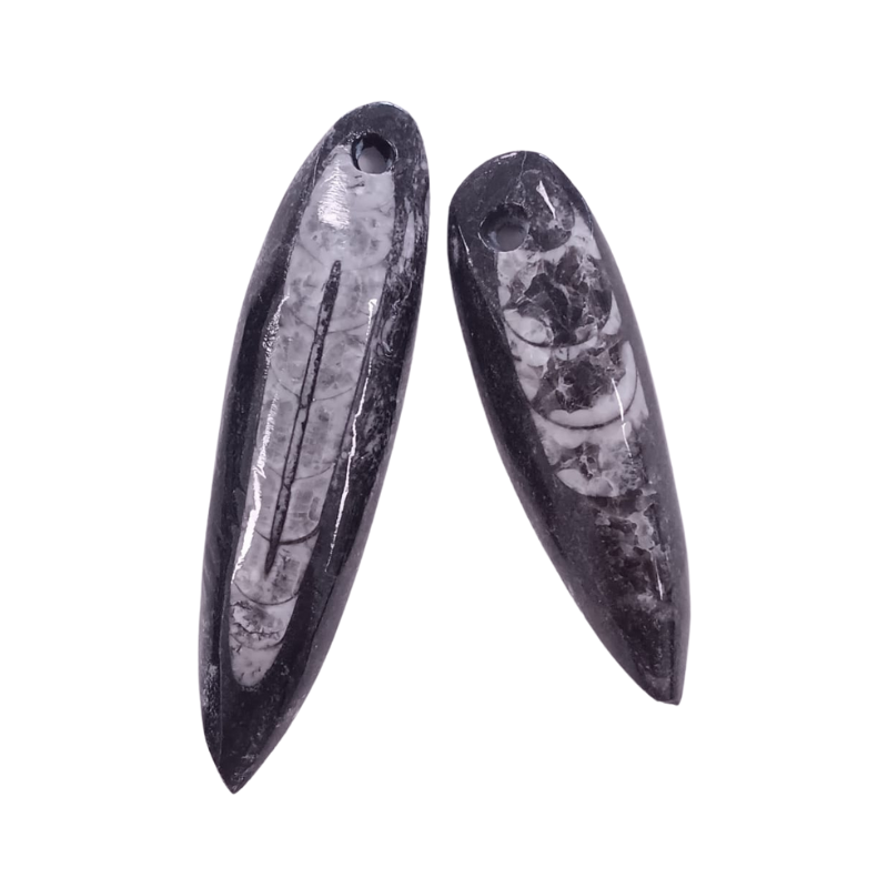Orthoceras (Fossil) gebohrt