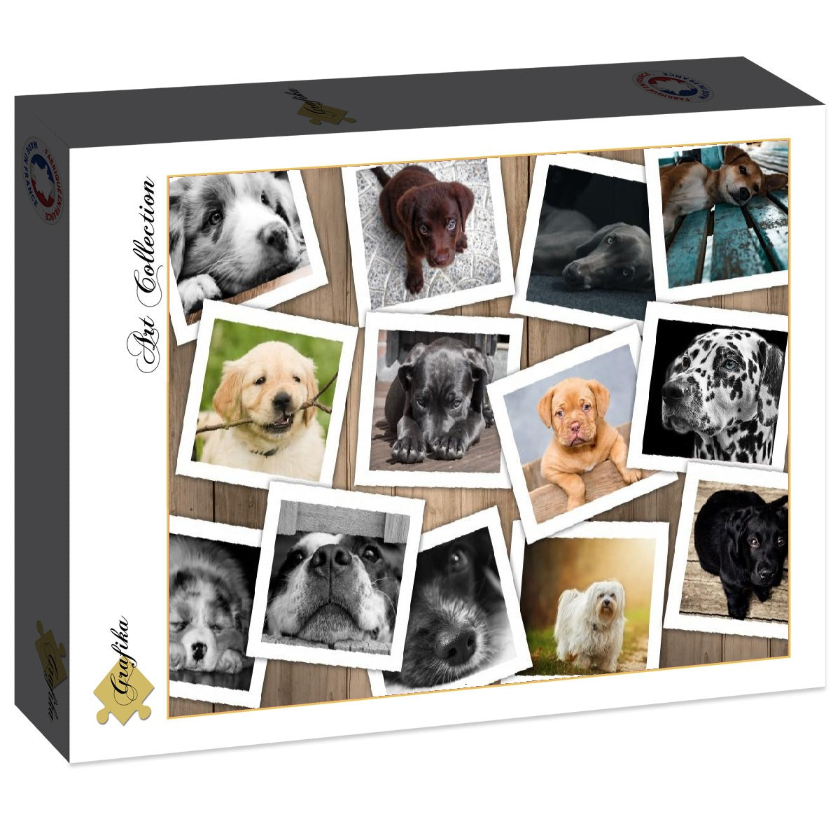 Hunde - 1000 Teile Puzzle - Box verblichen!