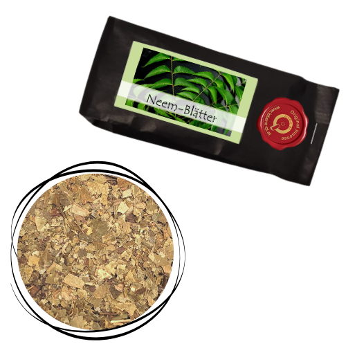 Neem - Blätter