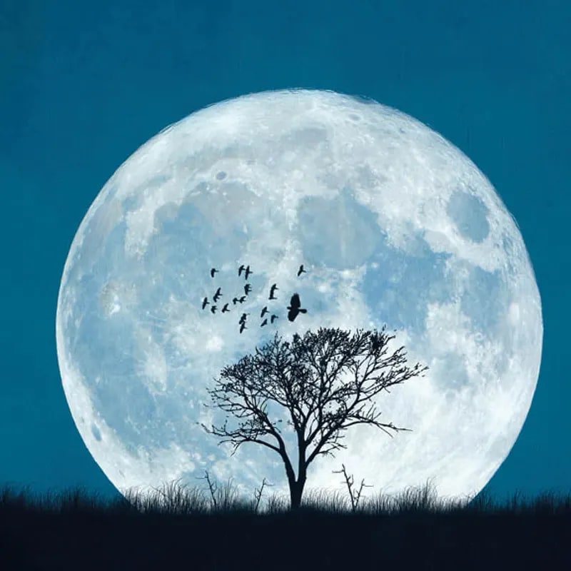 Grußkarte "Vollmond"