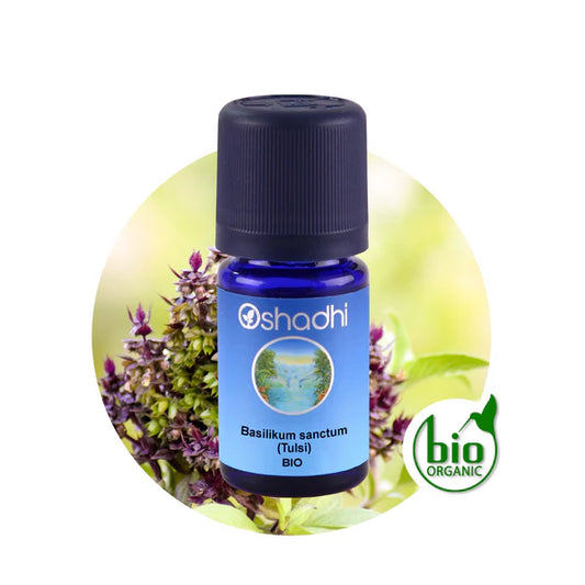 Basilikum sanctum (Tulsi) bio - Ätherisches Öl