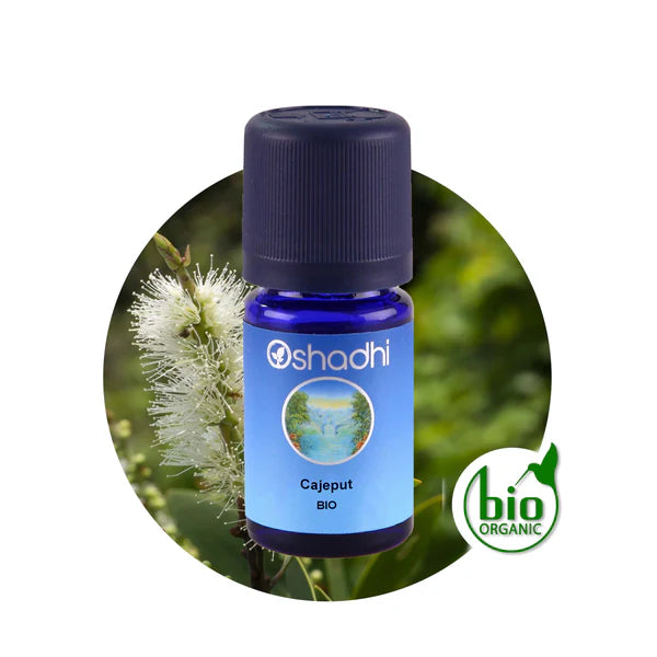 Cajeput wild bio - Ätherisches Öl