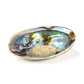 Regenbogen Abalone (Paua) Muschel