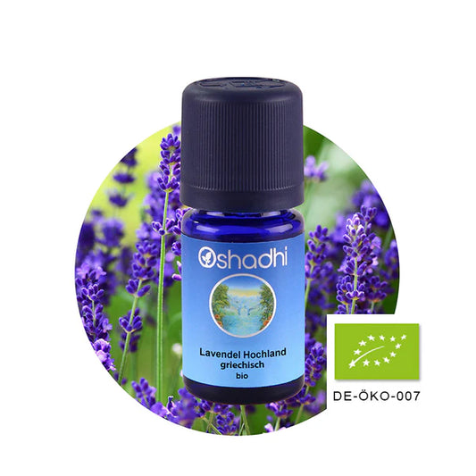 Lavendel Hochland griechisch bio - Ätherisches Öl