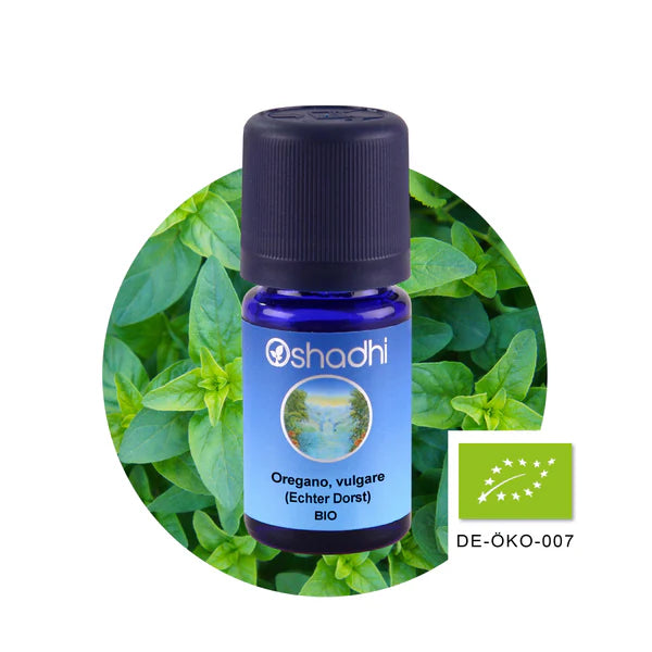 Oregano (Echter Dost) bio - Ätherisches Öl
