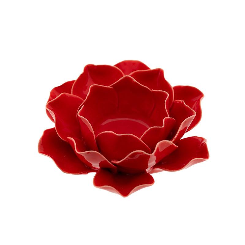 Rosenblüte rot