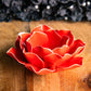 Rosenblüte rot
