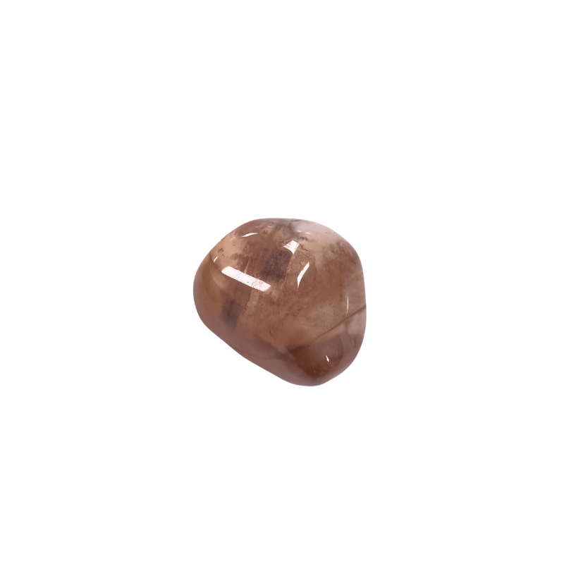Versteinertes Holz Trommelstein