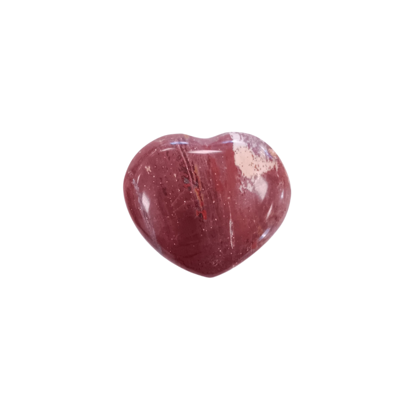 Versteinertes Holz Herz