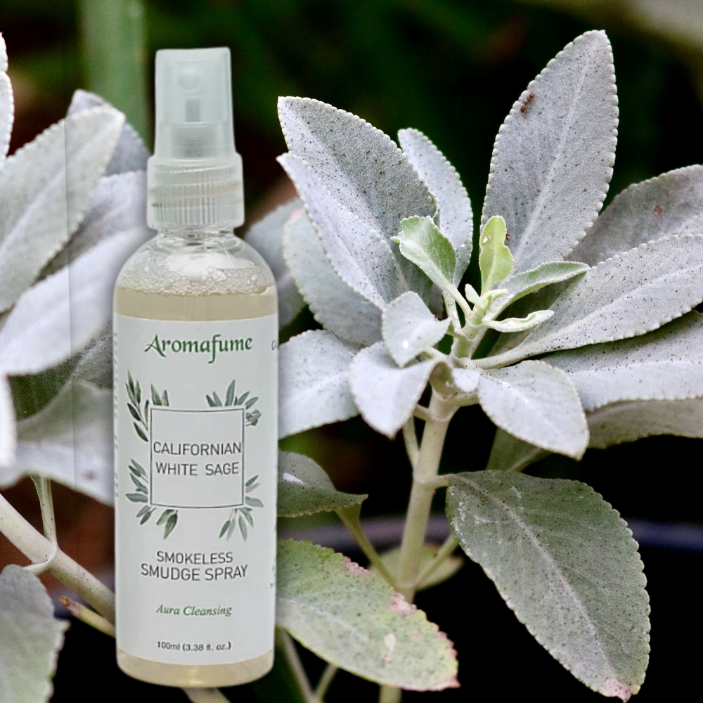 Californian White Sage Smudge Spray