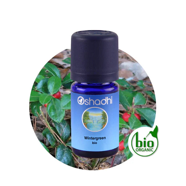 Wintergreen bio - Ätherisches Öl