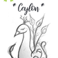 Taste of Ceylon - Ahinsa