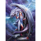 Anne Stokes - Dragon Mage - 1000 Teile Puzzle