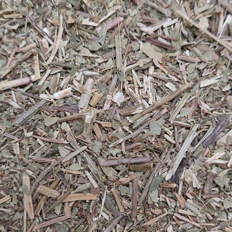 Augentrost - Kraut
