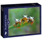 Friendly Frogs - 500 Teile Puzzle