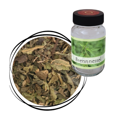 Brennnessel - Blätter