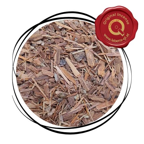 Catuaba - Holz