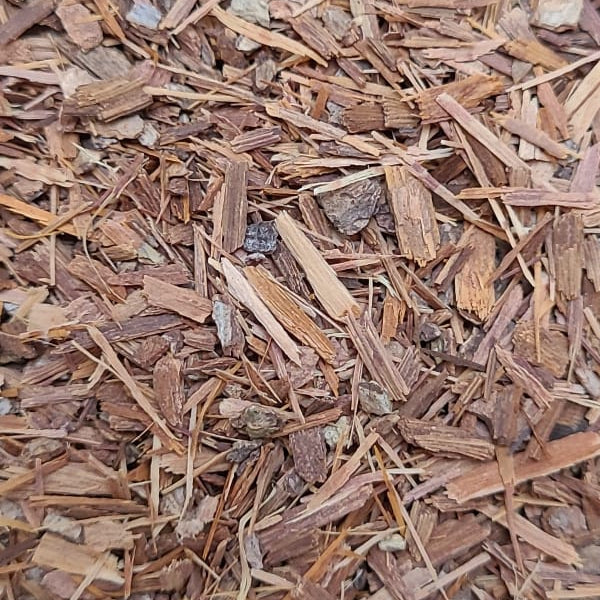Catuaba - Holz