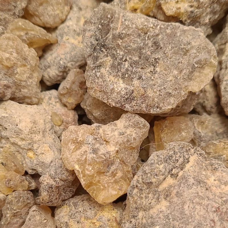 Copal dunkel - Harz