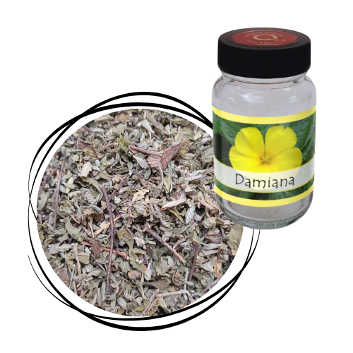 Damiana - Blätter