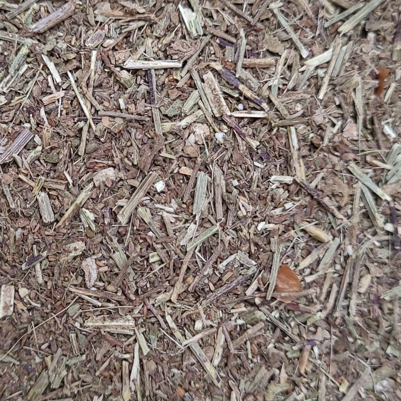 Eisenkraut - Kraut