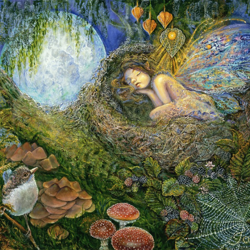 Fairy Nest - 1500 Teile Puzzle