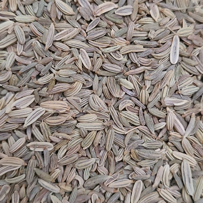 Fenchel - Samen