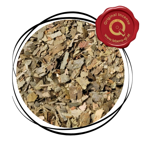 Ginkgo - Blätter