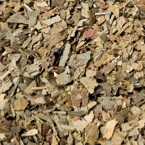 Ginkgo - Blätter