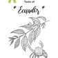 Taste of Ecuador - Guayusa