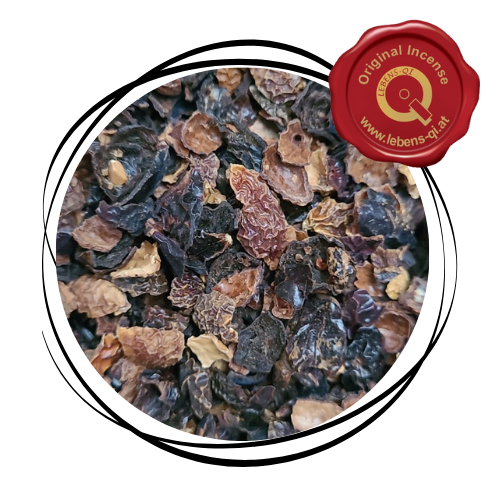 Hagebutte - Frucht