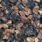Hagebutte - Frucht