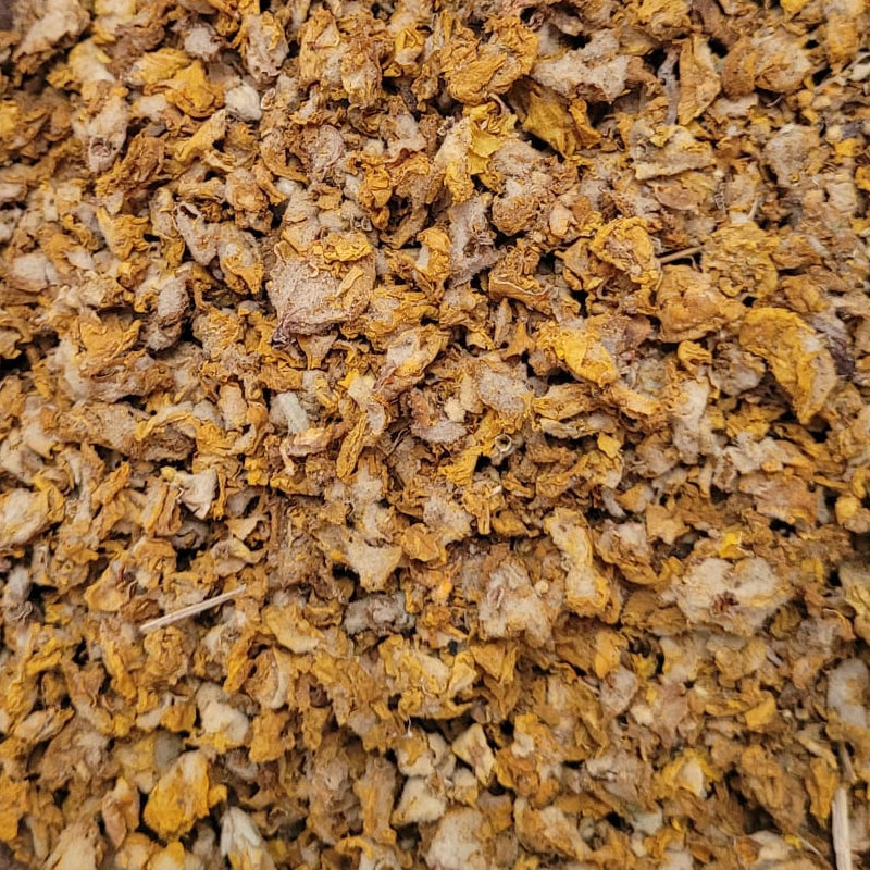 Königskerze - Blüten