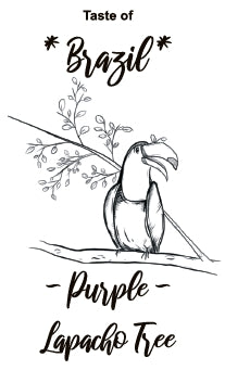 Taste of Brazil - Purple Lapacho Tree