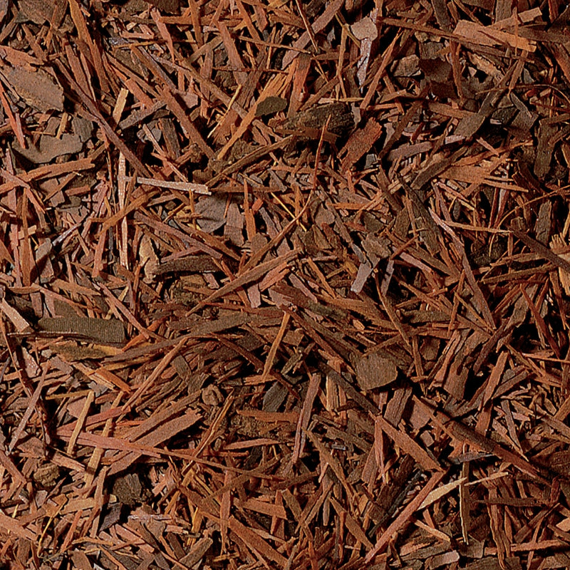 Taste of Brazil - Purple Lapacho Tree