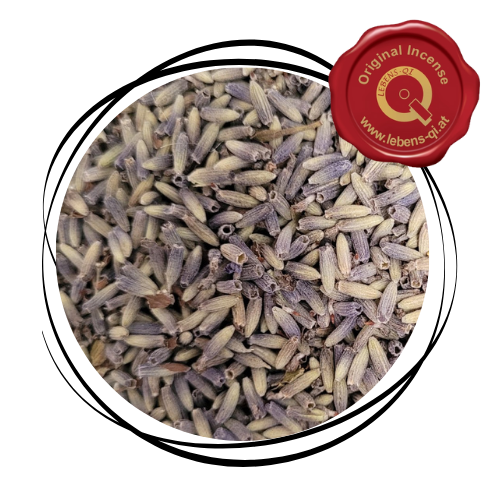 Lavendel - Blüten