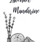 Lavendel - Mandarine - Früchteteemischung