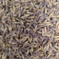 Lavendel - Blüten