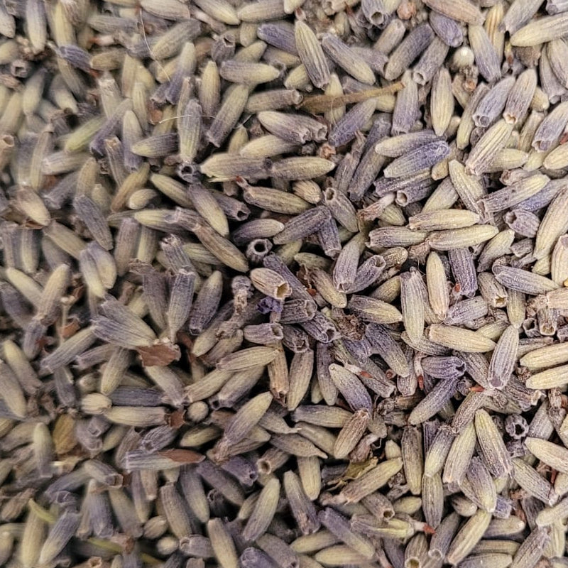 Lavendel - Blüten