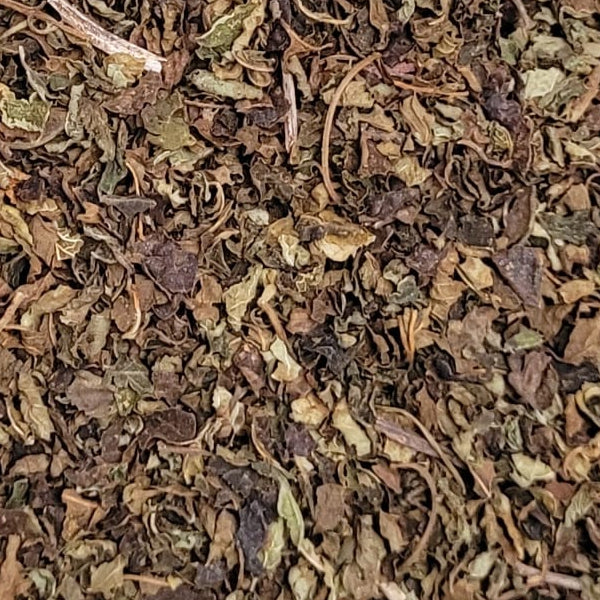 Melisse - Kraut
