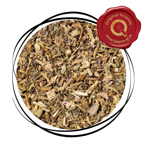 Muskatellersalbei - Kraut