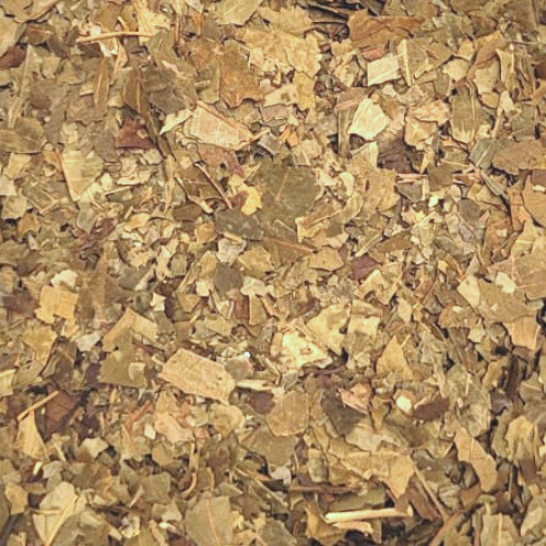 Neem - Blätter
