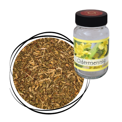 Odermennig - Kraut