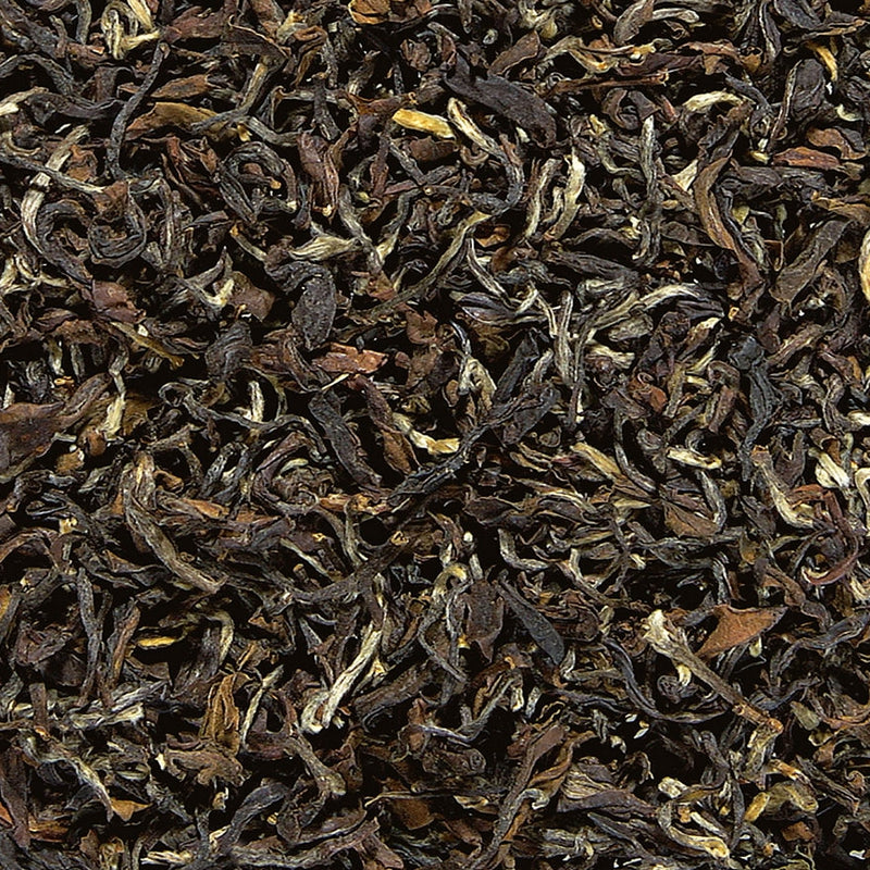 Taste of Formosa - Oolong Butterfly of Taiwan