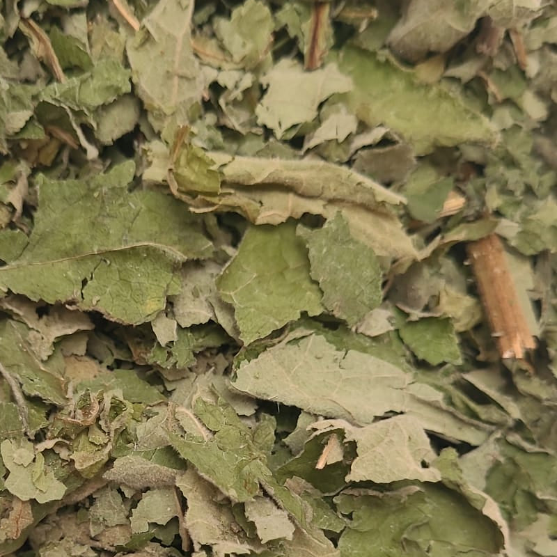 Pushkarmoola - Kraut