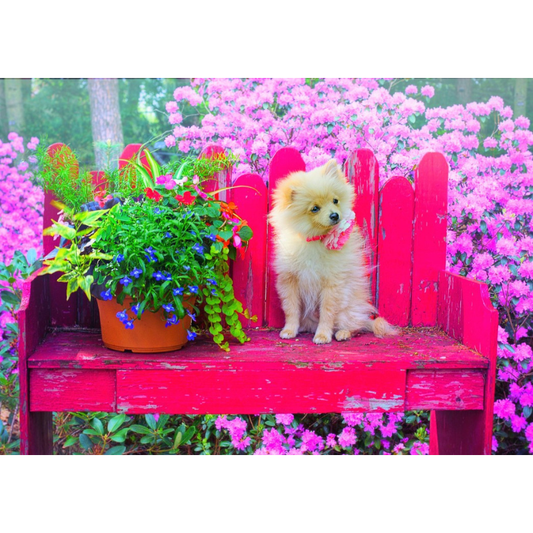 Puppy in the Colorful Garden - 500 Teile Puzzle