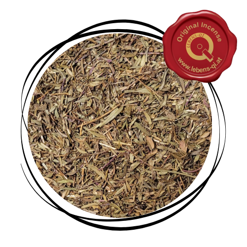 Quendel - Kraut