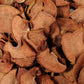 Quitte - Frucht