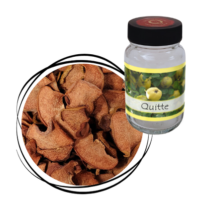 Quitte - Frucht